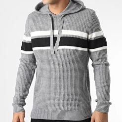 Offres 🛒 Pull Capuche Arcs Gris de Tokyo Laundry 👍